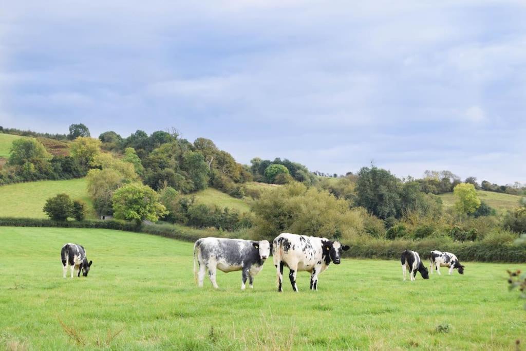 Nr Bicester Village 5 Star Luxury On Farm Piddington Kültér fotó